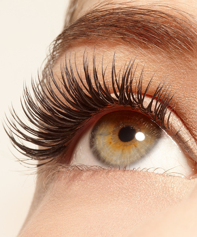 Volumizing Lash & Brow Serum with CoQ10